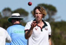 Lions and Seagulls to battle for final B Grade post-season spot