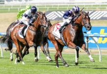 Bulletproof and dangerous