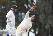 Lions lurch further into obscurity by upsetting the champs