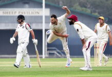 Bucks put breaks on Bears as Bulls combust