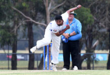 Many Pirates make for light work