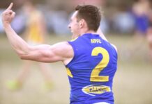 Bull brings plenty of former Bulls to Redbacks for new season