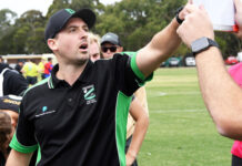 Doves bolster lineup with plethora of fresh new faces