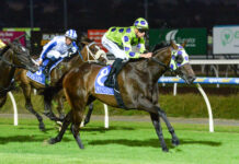 Eurell set to unleash his Untapped potential at Pakenham