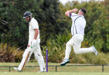 Lions roar in major upset