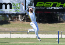 Yabbies charge into big dance