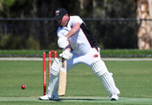 Yabbies pinch flag in thriller