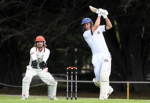 Sweeney spent but oh so proud of his Seagulls fighting spirit