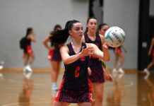 Young Demons deliver on a thrilling night against Falcons