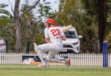 Showcase of DDCA cricket