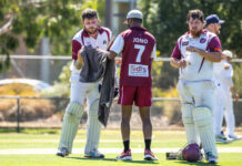 Extraordinary deeds from Otto lead Knights to title decider