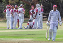 Hunt for silverware still on