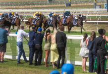 Wallets in the pocket as Southside Racing offers FREE entry