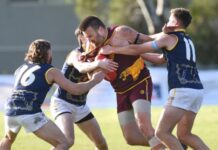 Pumas look to pounce after best season in a decade