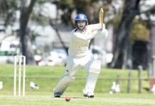 Pain for prowling Panthers