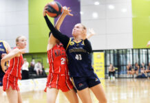 Warriors suffer growing pains in first taste of Championship