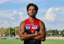 Doveton junior to skipper Casey