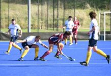 Cannons firing on all cylinders