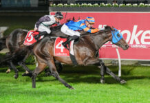 Huge evening of Good Friday Night racing at Cranbourne