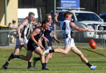 Pickering’s Catani prospering early