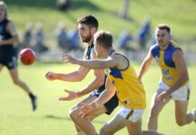 Bulls hunting first success