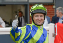 Froggy bounds his way to the top