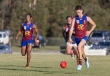 Lions pillage the Towners