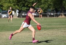 Lions roar in Div 1 jungle