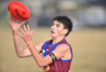 Lions keen for Div 1 jungle