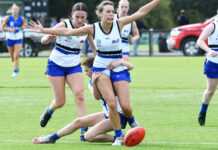 Lions edge out brave Tigers