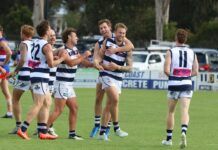 Goon blitz buries Bulldogs