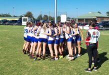 Rovers and rucks roll Lions