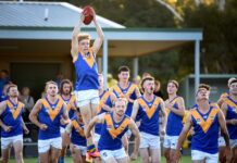 Comeback Dogs sink Eagles