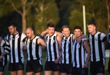 Dingoes bark against Demons