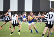 Eagles looking to fly above Bulldogs