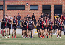 Redbacks crawl all over Doves