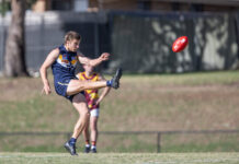 Contenders and pretenders taking shape