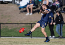 Hallmarks of hot Hawks emerge