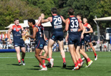 Dees hold off Suns