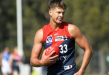 Dees suffer first defeat of season