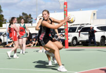 Cobras quickly into gear