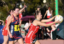 Stars and Bulldogs can’t be split