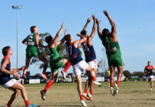 Seagulls survive rough ride