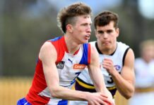 Pick one contender shines bright