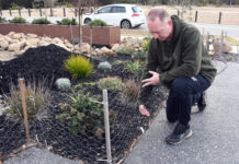 Junction Village residents battle rabbit plague in front yards