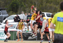 Burners too hot for Hawks