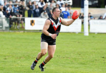 Devon Meadows on the edge of glory