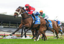 Medallist makes her mark