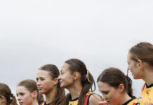 Local Stingrays at V/Line