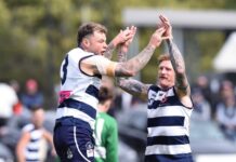 Goon’s shield of Armour